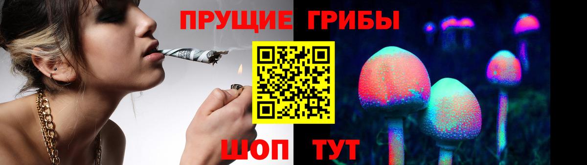 Галлюциногенные грибы прущие грибы  где купить наркотик  Тамбов  Вход с VPN  Галлюциногенные грибы MAGIC MUSHROOMS 